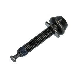 SCREW 38mm