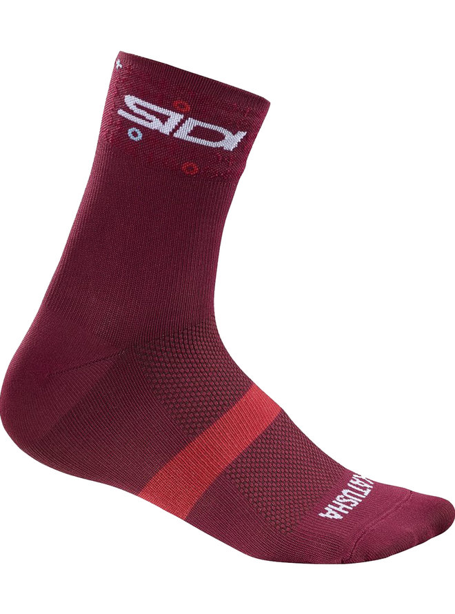 ALPECIN 2019