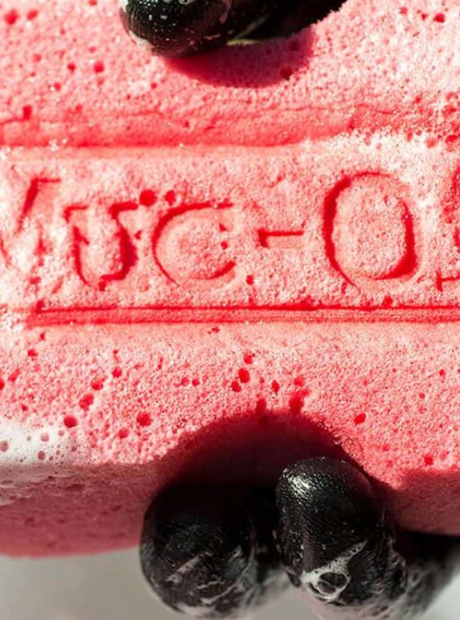 PINK SPONGE