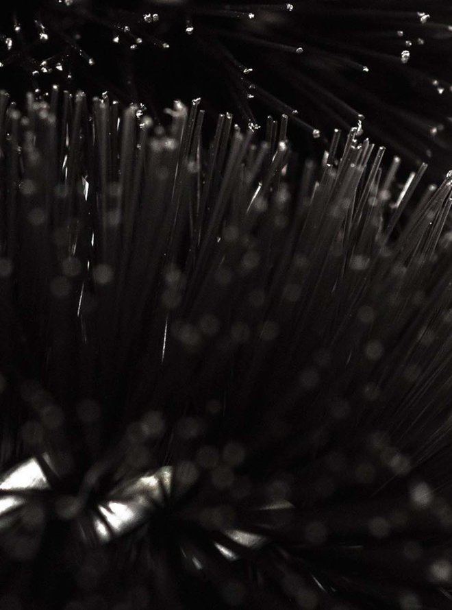 TWO PRONG BRUSH