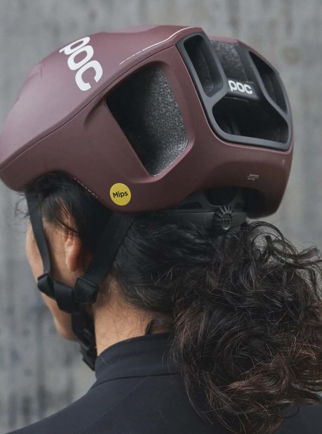 VENTRAL MIPS