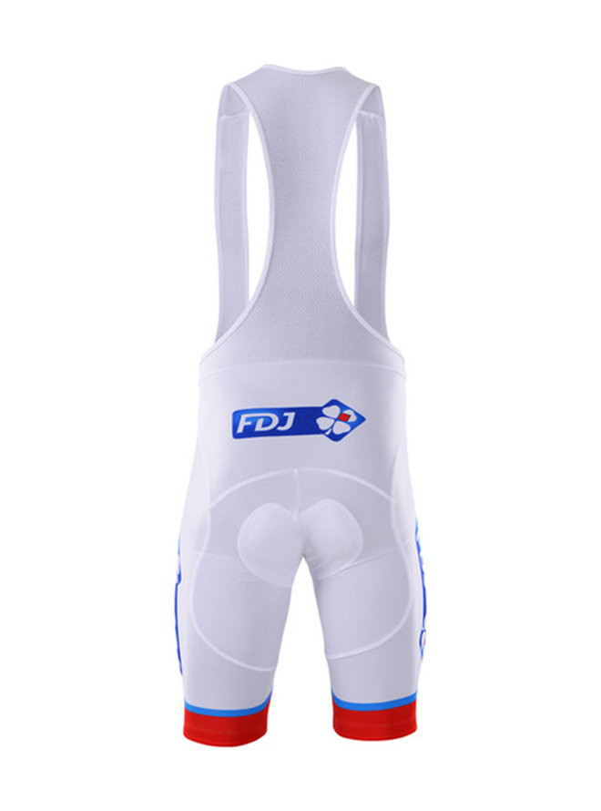 FDJ 2017 
