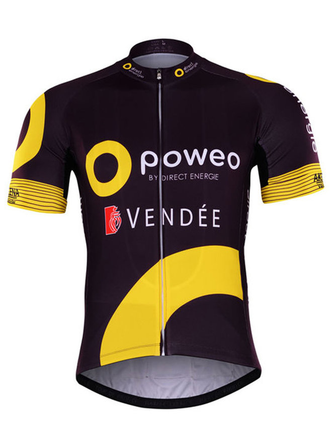 DIRECT ENERGIE 2017