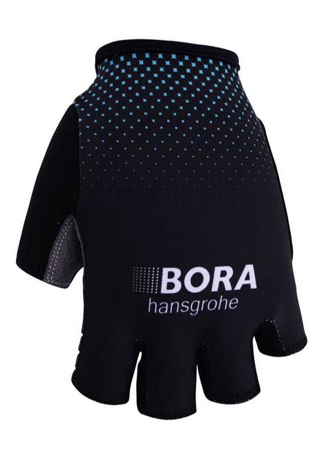 BORA 2017