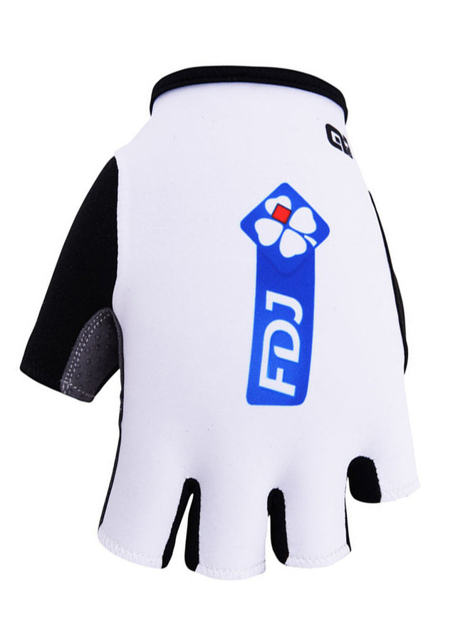 FDJ 2017