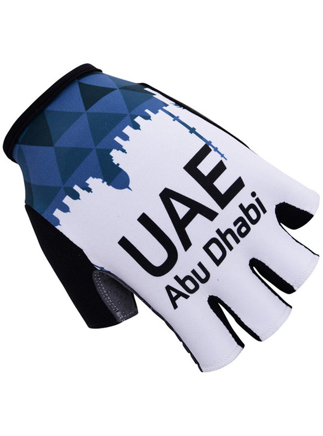 UAE 2017