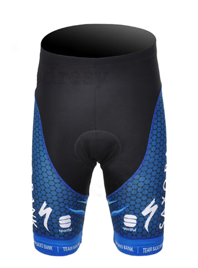 SAXO BANK 2012
