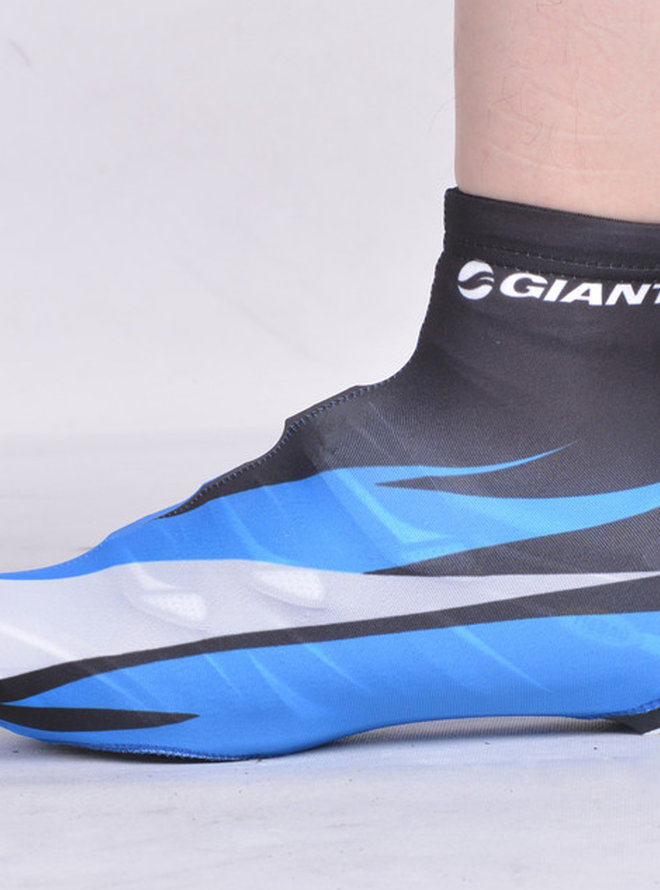 GIANT 2013