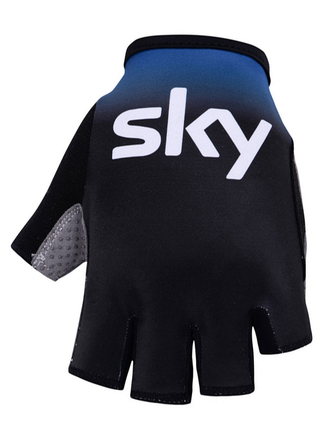 SKY 2019