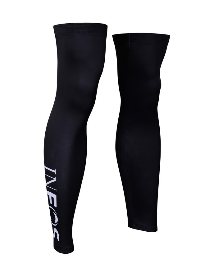 INEOS 2019