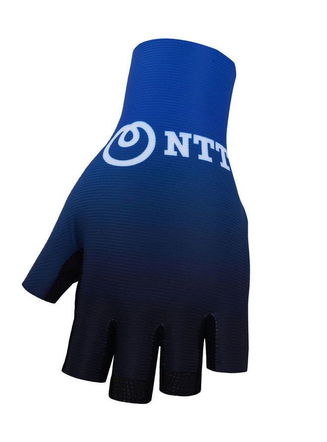 NTT 2020