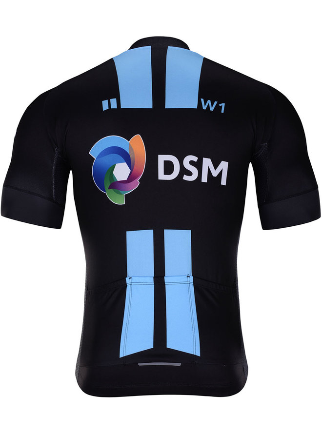 DSM 2022